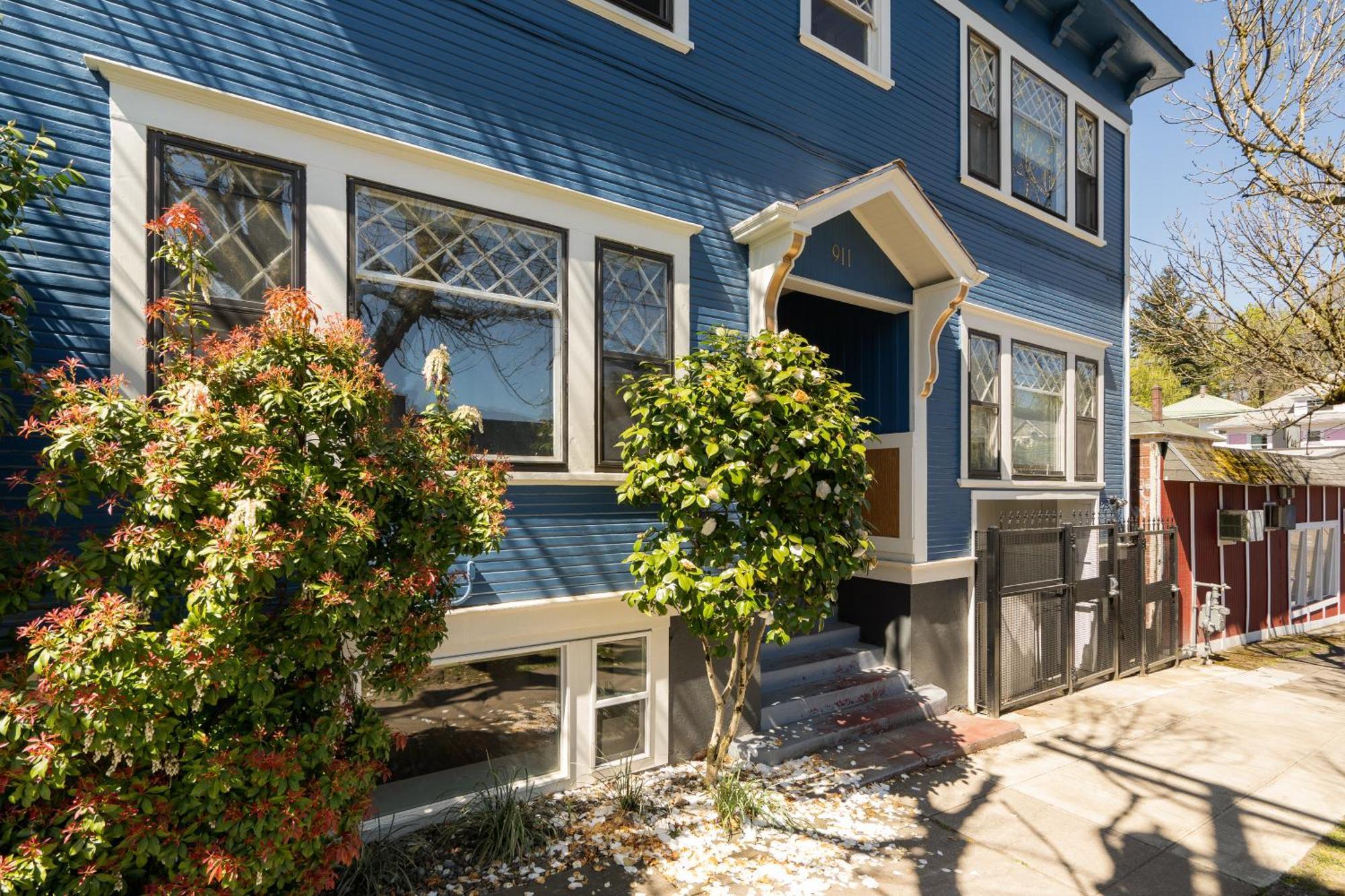 Collection - Bohemian Oasis - Food, Coffee & Craft Beer Lovers Holiday home Portland
