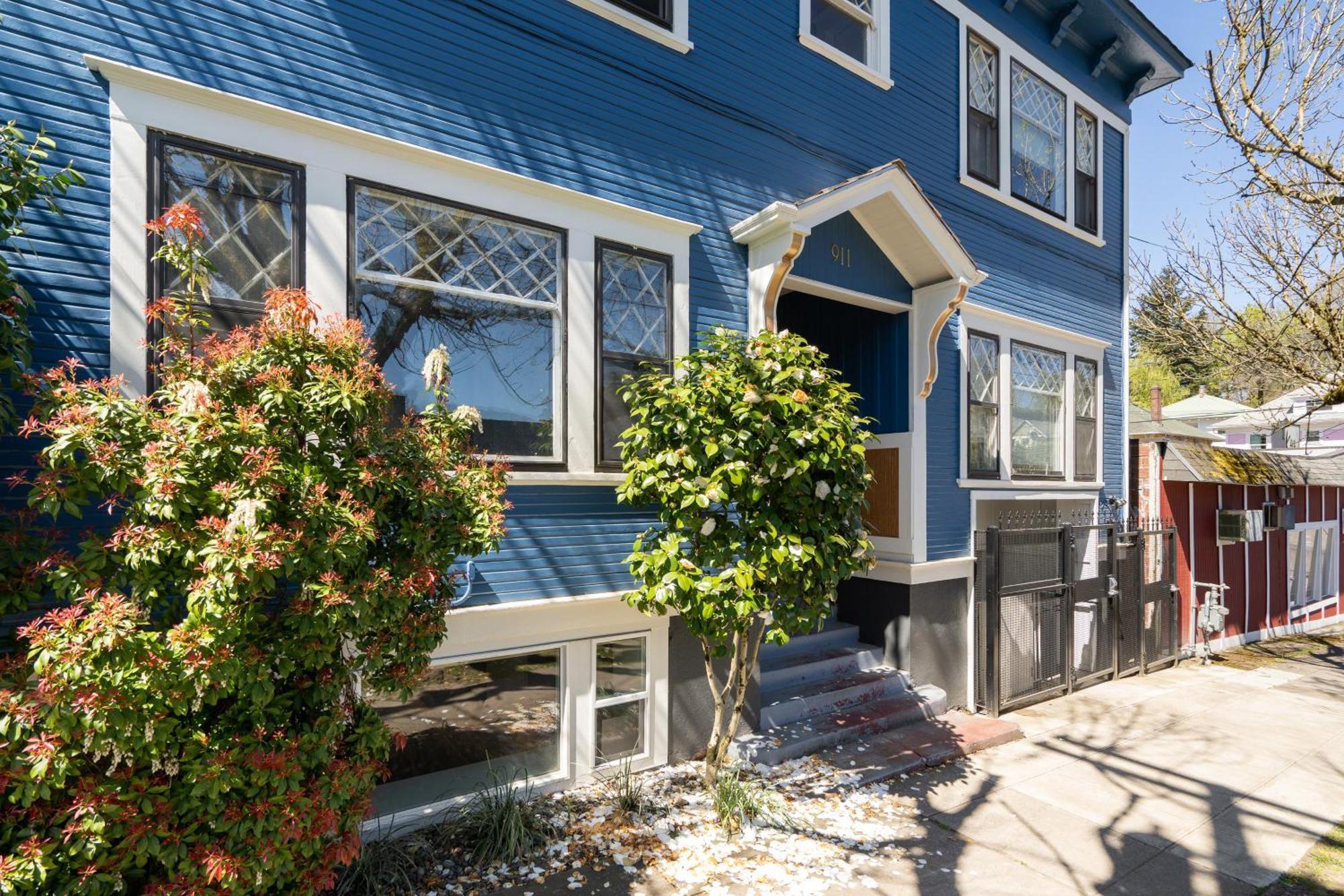 Collection - Bohemian Oasis - Food, Coffee & Craft Beer Lovers * Portland